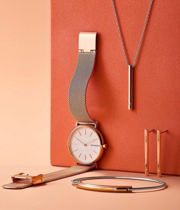 Hình ảnh Skagen Nữ SKW2694