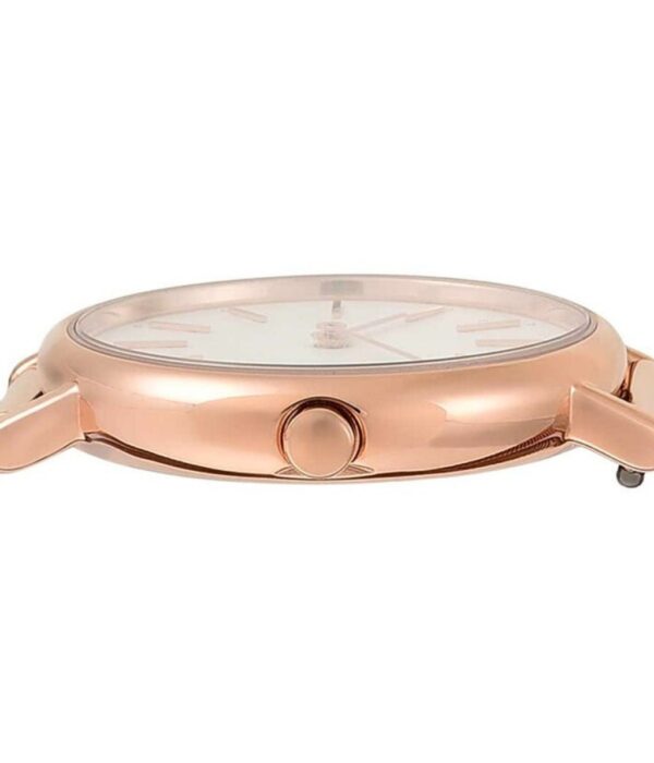 Hình ảnh Skagen Nữ SKW2694