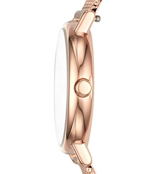 Hình ảnh Skagen Nữ SKW2694