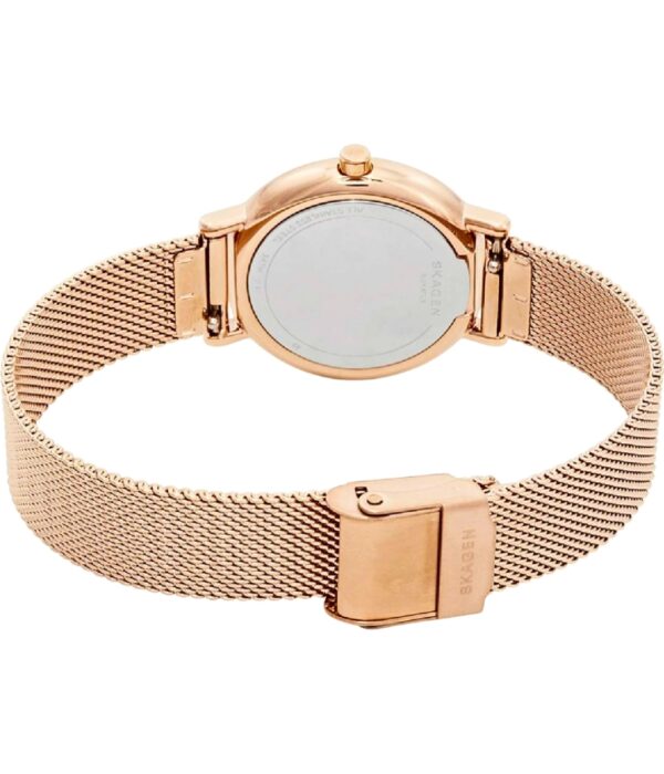 Hình ảnh Skagen Nữ SKW2694