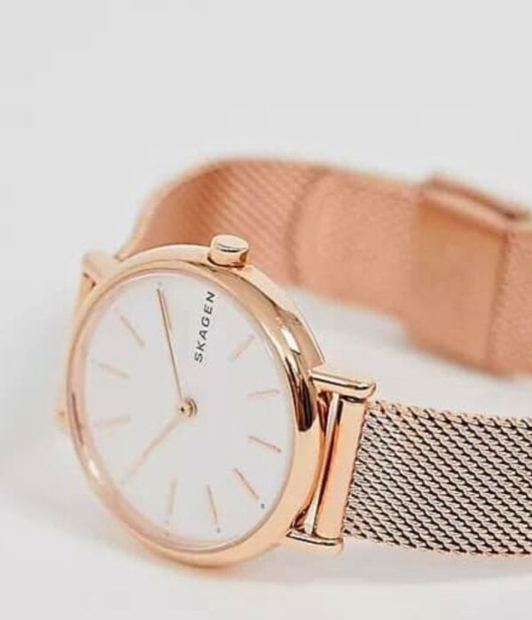 Hình ảnh Skagen Nữ SKW2694