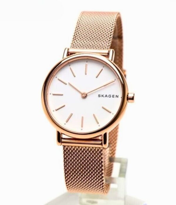 Hình ảnh Skagen Nữ SKW2694