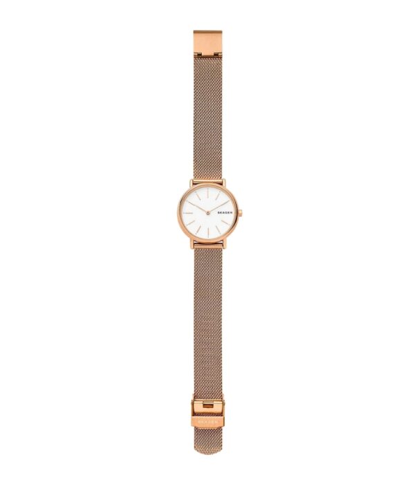 Hình ảnh Skagen Nữ SKW2694