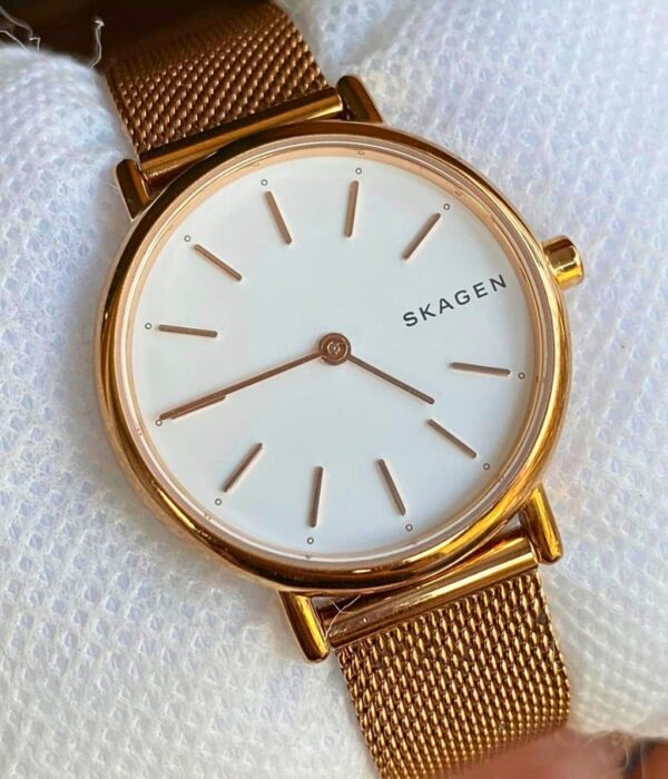 Hình ảnh Skagen Nữ SKW2694