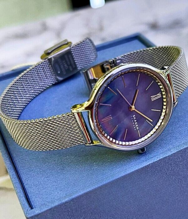 Hình ảnh Skagen Nữ SKW2862