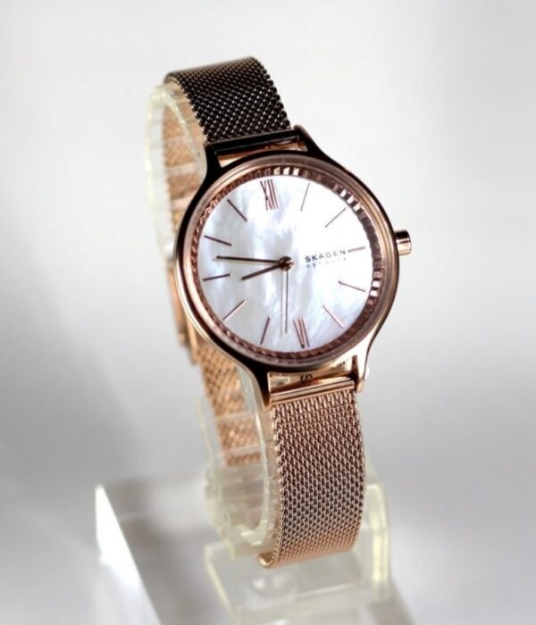 Hình ảnh Skagen Nữ SKW2865