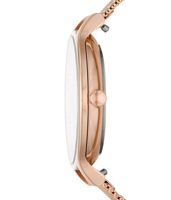 Hình ảnh Skagen Nữ SKW2865