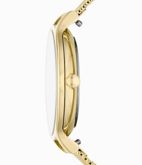 Hình ảnh Skagen Nữ SKW2907