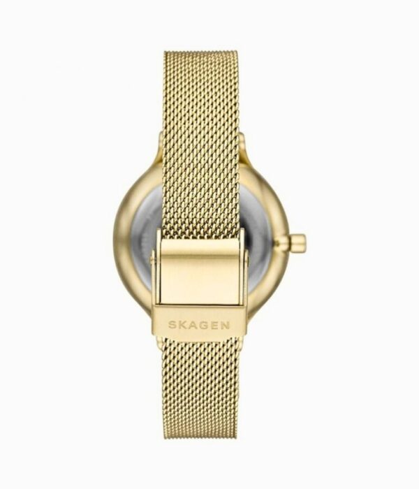 Hình ảnh Skagen Nữ SKW2907