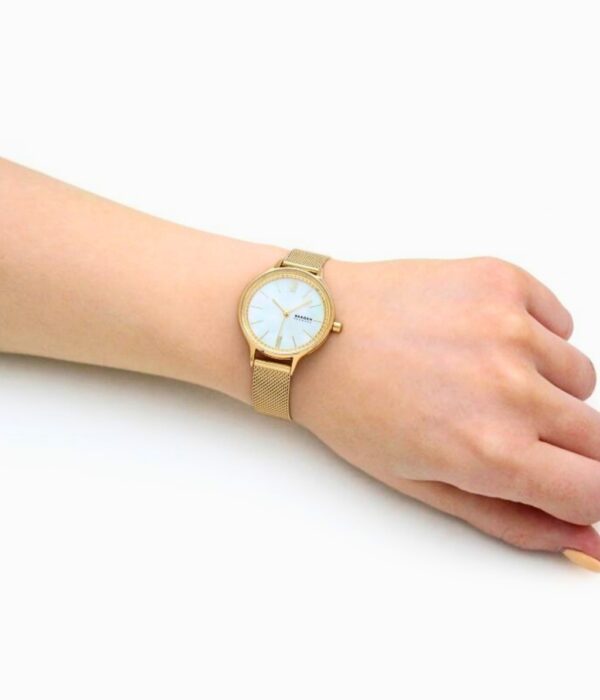 Hình ảnh Skagen Nữ SKW2907