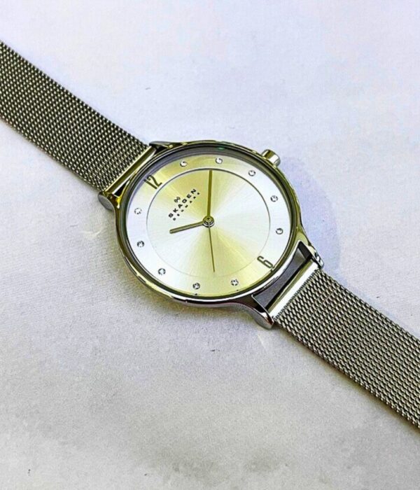 Hình ảnh Skagen Nữ SKW2149