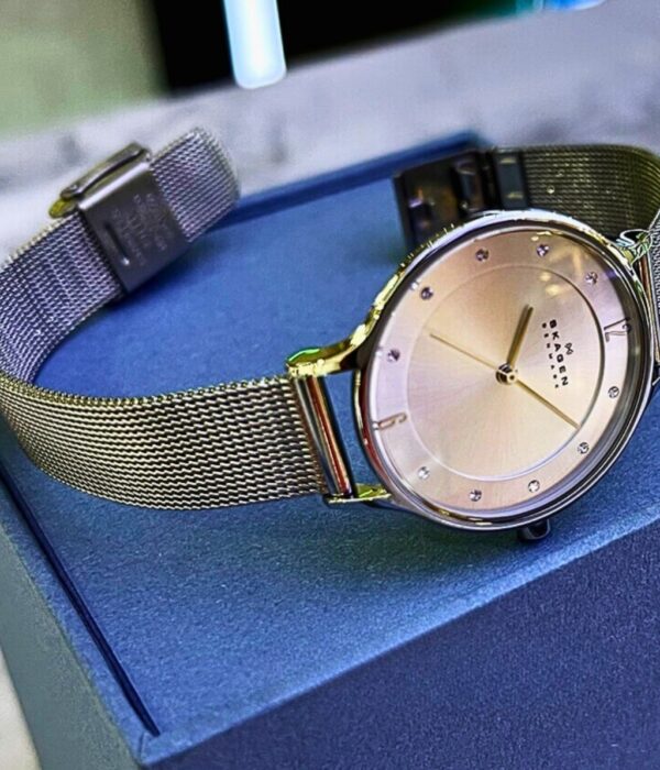 Hình ảnh Skagen Nữ SKW2149