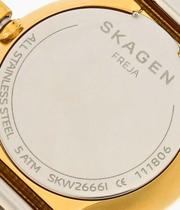 Hình ảnh Skagen Nữ SKW2666