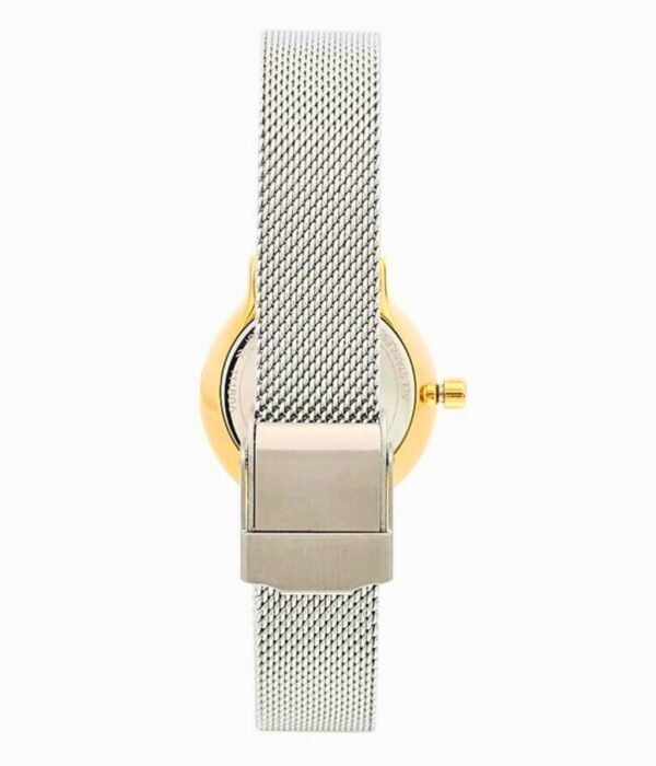 Hình ảnh Skagen Nữ SKW2666