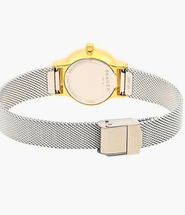 Hình ảnh Skagen Nữ SKW2666