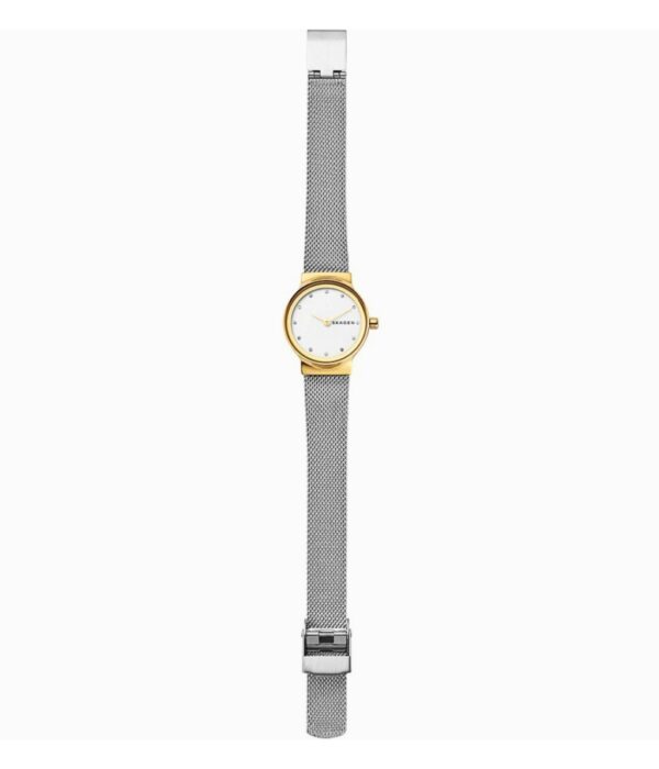 Hình ảnh Skagen Nữ SKW2666