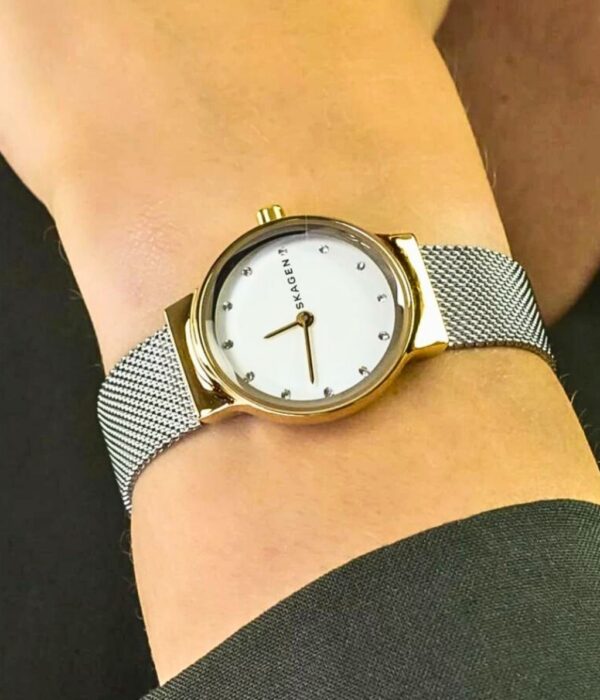 Hình ảnh Skagen Nữ SKW2666
