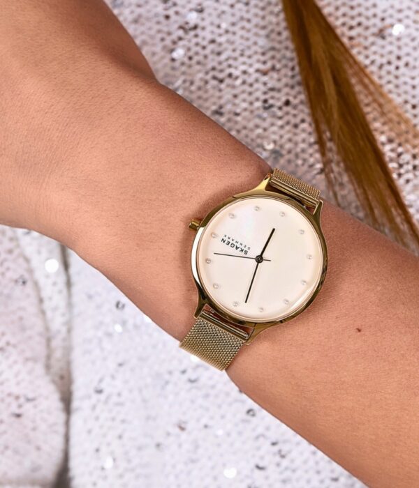 Hình ảnh Skagen Nữ SKW2774