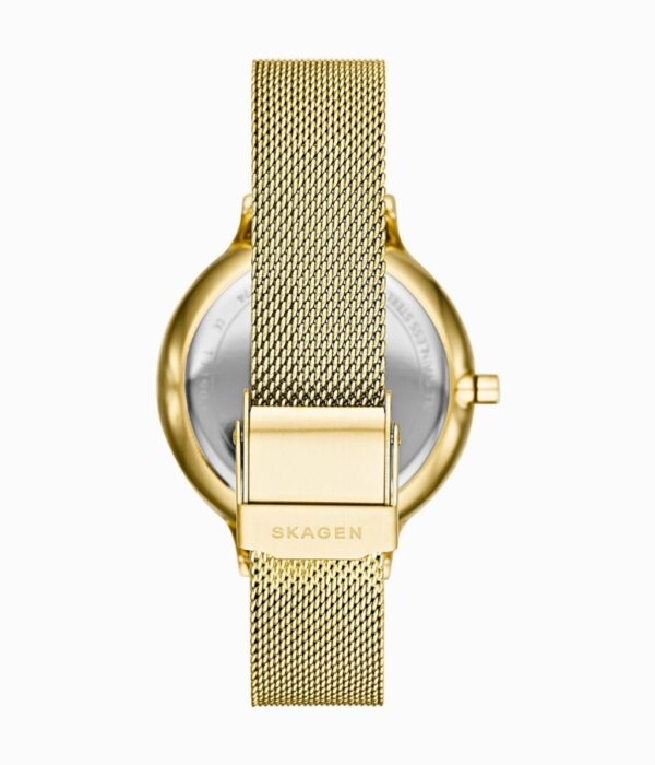 Hình ảnh Skagen Nữ SKW2774