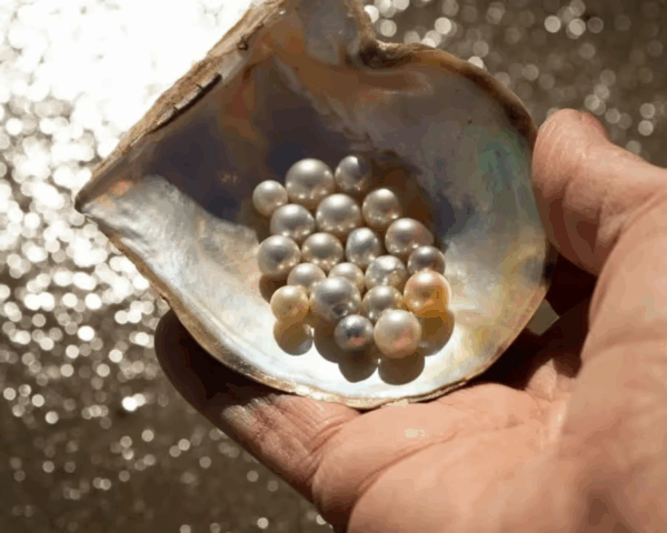 Ngọc Trai Trong Đồng Hồ: Bí Mật Vẻ Đẹp Sang Trọng Và Quyến Rũ 1