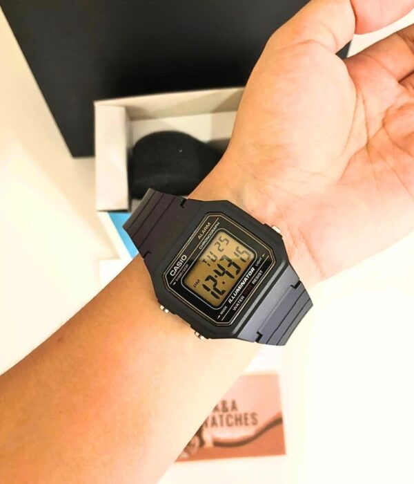 Hình ảnh Casio Nam W-217H-9AVDF