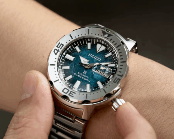 Bezel Là Gì? 3 Loại Vòng Bezel Được Ưa Chuộng & 8 Công Năng 5