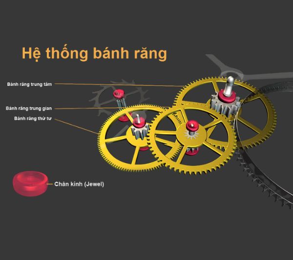 Cấu Tạo Đồng Hồ Cơ Gồm Mấy Bộ Phận? Giải Mã Chi Tiết 2