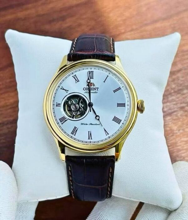 Hình ảnh Đồng Hồ Orient Nam TAG00002W0