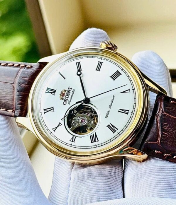 Hình ảnh Đồng Hồ Orient Nam TAG00002W0