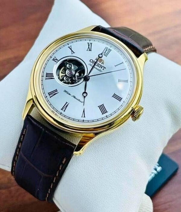 Hình ảnh Đồng Hồ Orient Nam TAG00002W0