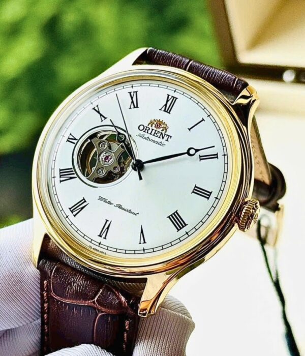 Hình ảnh Đồng Hồ Orient Nam TAG00002W0