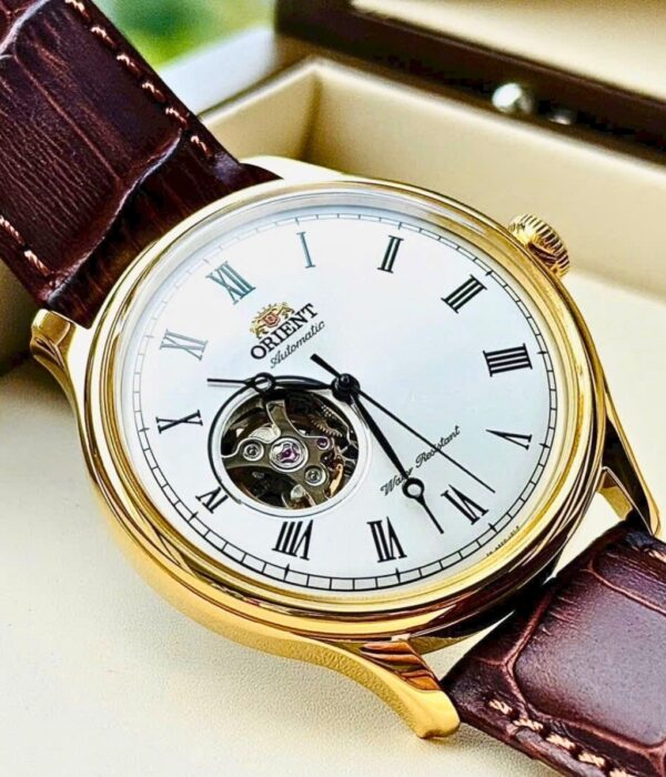 Hình ảnh Đồng Hồ Orient Nam TAG00002W0