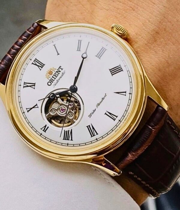 Hình ảnh Đồng Hồ Orient Nam TAG00002W0