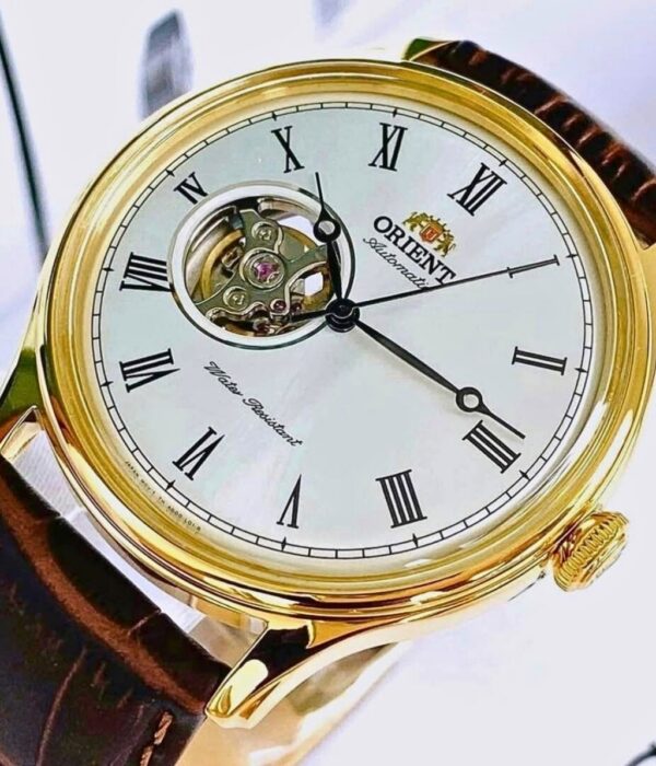 Hình ảnh Đồng Hồ Orient Nam TAG00002W0