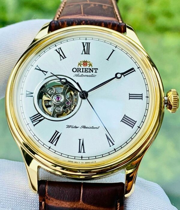 Hình ảnh Đồng Hồ Orient Nam TAG00002W0