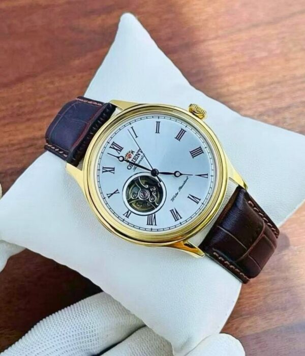 Hình ảnh Đồng Hồ Orient Nam TAG00002W0