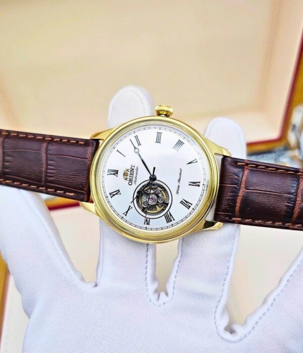 Hình ảnh Đồng Hồ Orient Nam TAG00002W0