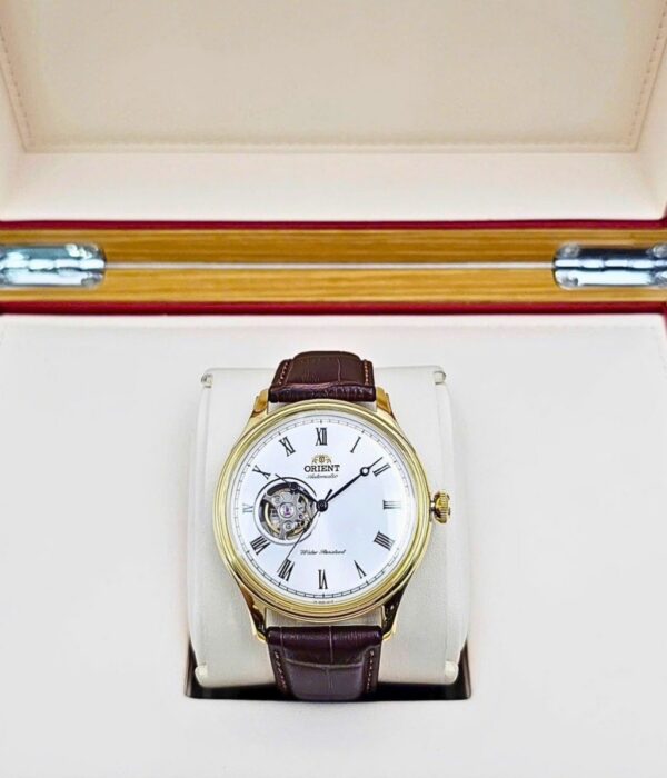 Hình ảnh Đồng Hồ Orient Nam TAG00002W0