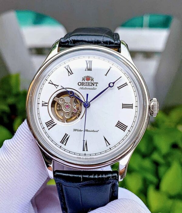 Hình ảnh Đồng Hồ Orient Nam TAG00003W0