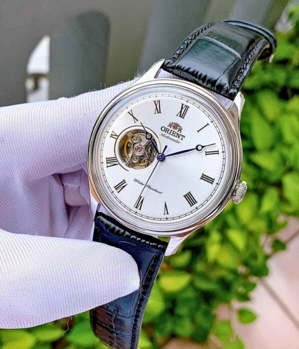 Hình ảnh Đồng Hồ Orient Nam TAG00003W0