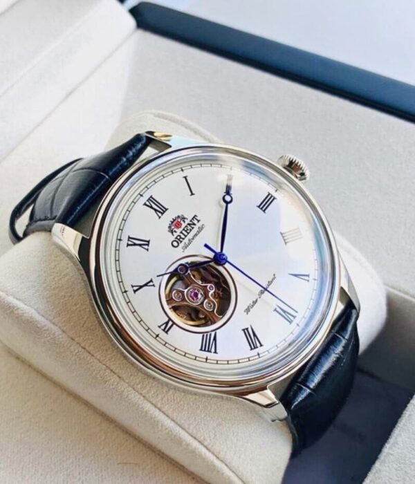 Hình ảnh Đồng Hồ Orient Nam TAG00003W0
