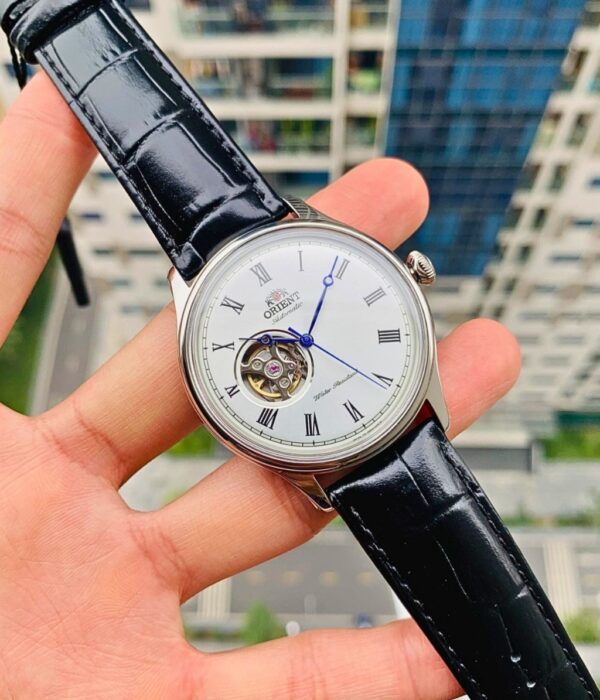 Hình ảnh Đồng Hồ Orient Nam TAG00003W0