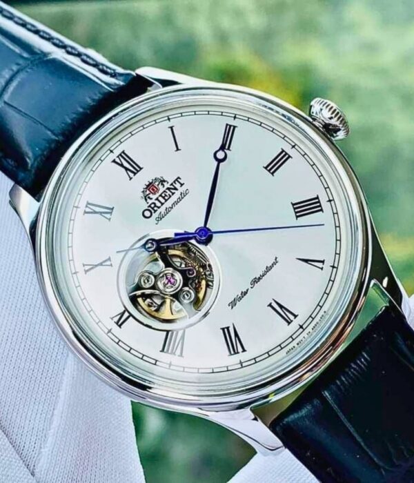 Hình ảnh Đồng Hồ Orient Nam TAG00003W0