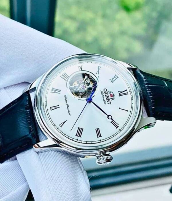 Hình ảnh Đồng Hồ Orient Nam TAG00003W0