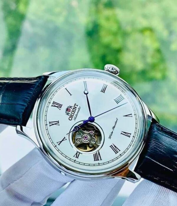 Hình ảnh Đồng Hồ Orient Nam TAG00003W0