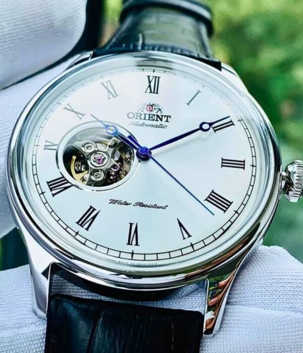 Hình ảnh Đồng Hồ Orient Nam TAG00003W0