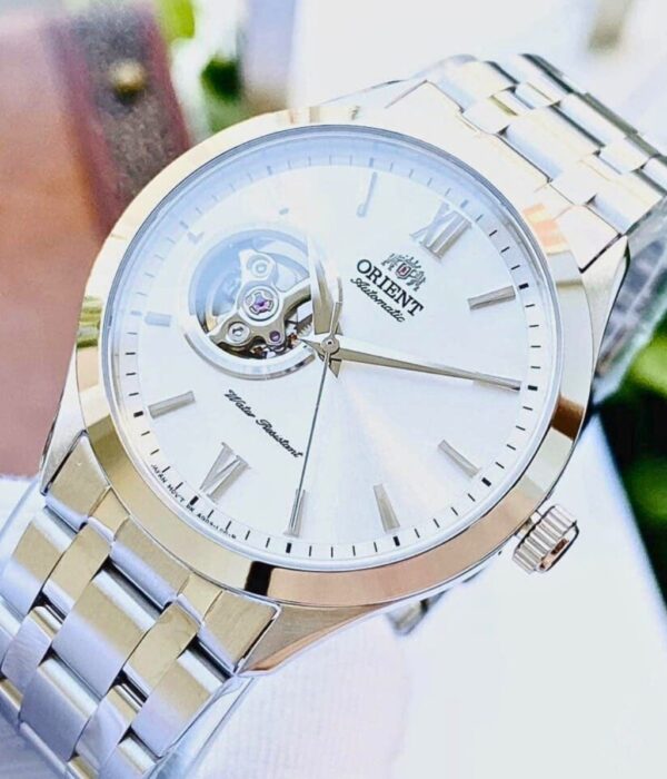 Hình ảnh Đồng Hồ Orient Nam TAG03001W0