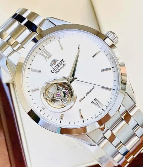 Hình ảnh Đồng Hồ Orient Nam TAG03001W0