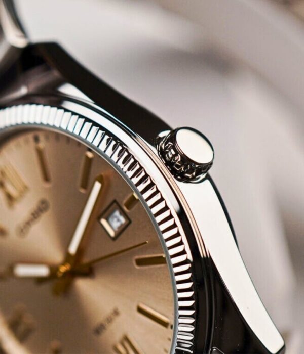 Hình ảnh Đồng Hồ Casio Nữ LTP-1302DD-4A2VDF