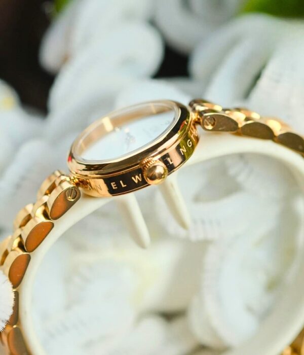 Hình ảnh Đồng Hồ Daniel Wellington Nữ DW00100717